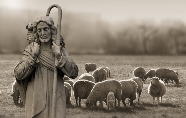 what-is-the-role-of-shepherds-during-christmas